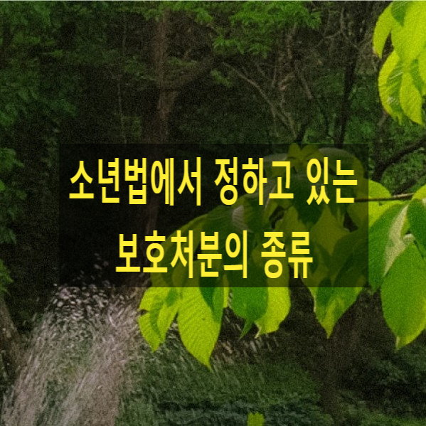  소년법에서 정하고 있는 보호처분의 종류
