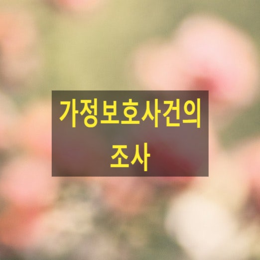  가정보호사건의 조사