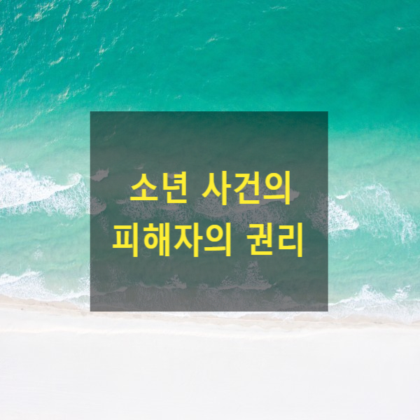  소년 사건의 피해자는 어떠한 권리가 있는지