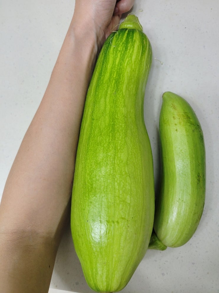 초여름 산타, 그녀의 선물! 메디큐브시카파우더 + 차앤박앰플.. 그리고 애호박