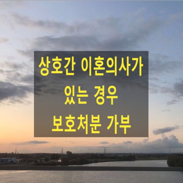  상호간 이혼의사가 있는 경우 보호처분 가부