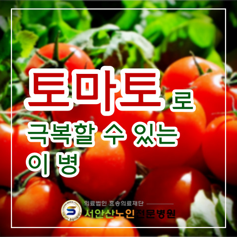 안산투석병원 토마토를 먹으면 극복할 수 있는 이 병!