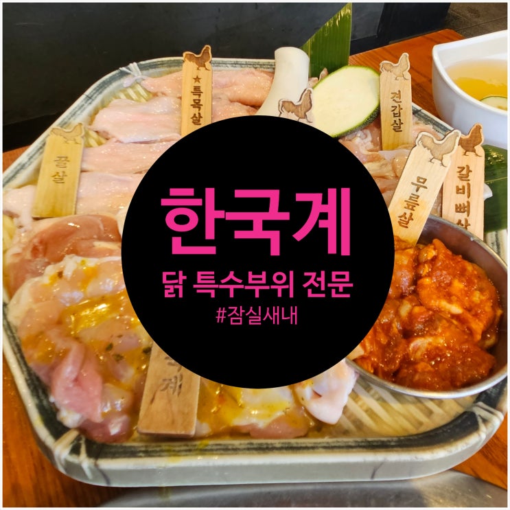  잠실새내역 닭 특수부위 전문점 '한국계' 먹고 왔습니다 (feat. 잠실새내 상권, god 손호영)