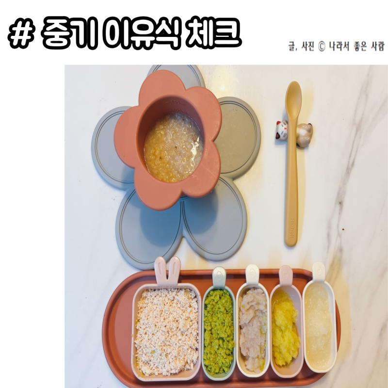 8개월 아기 중기 이유식 2단계 시기, 양, 횟수, 식단 구성 확인