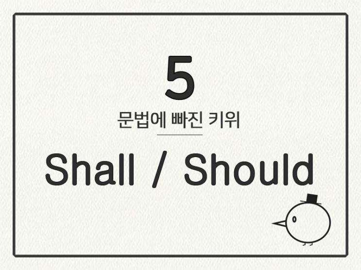  [영어 기초 문법] 조동사 #5 shall/should