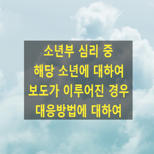  소년부 심리 중 해당 소년에 대하여 보도가 이루어졌을 경우 대응방법에 대하여