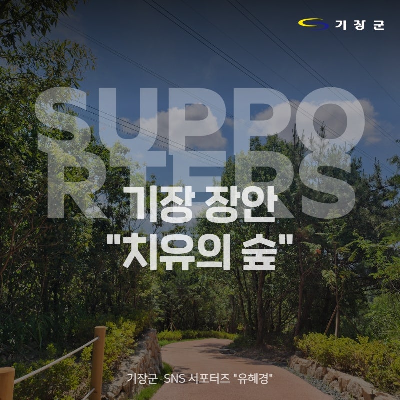 [서포터즈] 기장군 ‘장안 치유의 숲’에서 힐링하세요