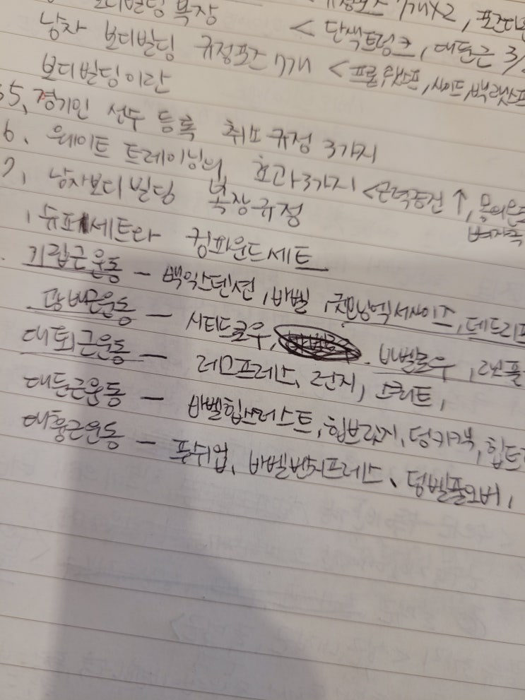  운동자극 부위 별 분류 광배, 대퇴, 대둔, 대흉, 기립근