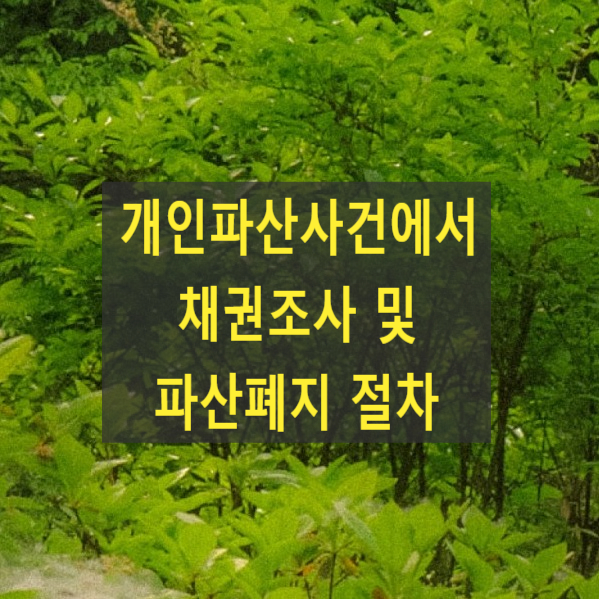  개인파산사건에서 채권조사 및 파산폐지 절차