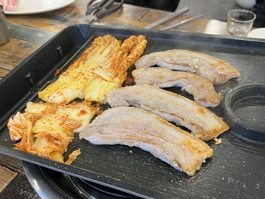 양이분 사진 5