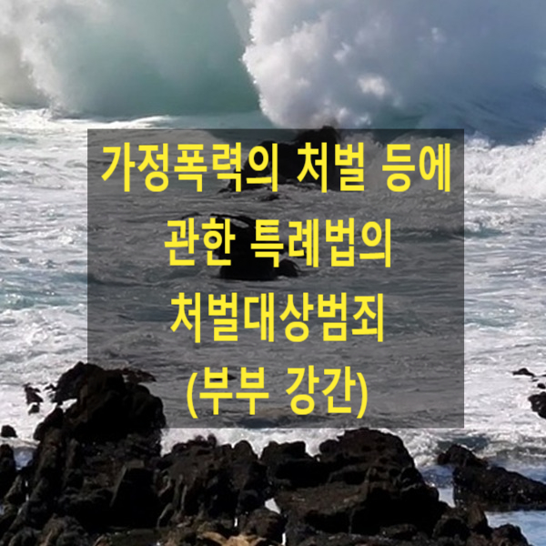  가정폭력의 처벌 등에 관한 특례법의 처벌대상범죄(부부 강간)