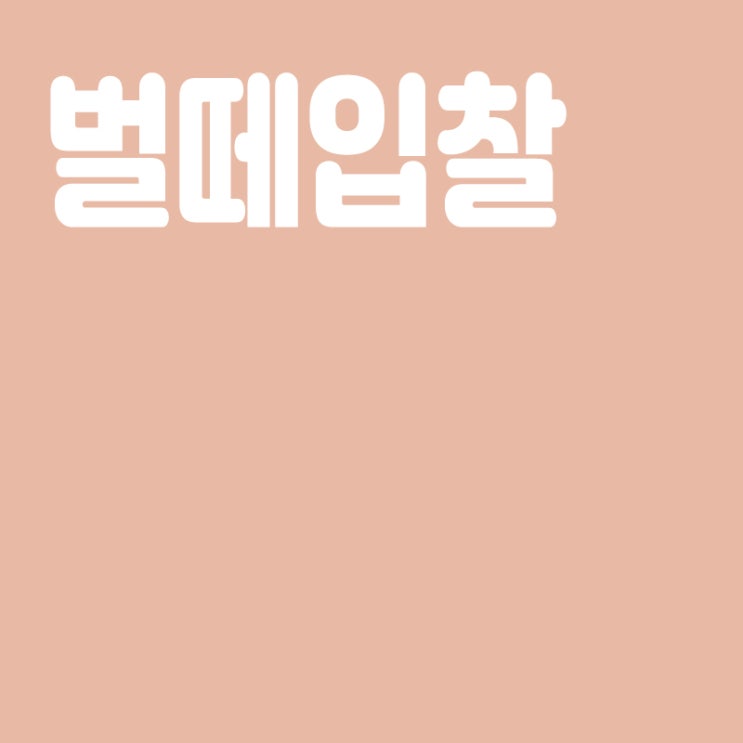  벌떼입찰 뜻,벌떼입찰이란?,공공택지 벌떼입찰 전수조사(ft.호반건설)