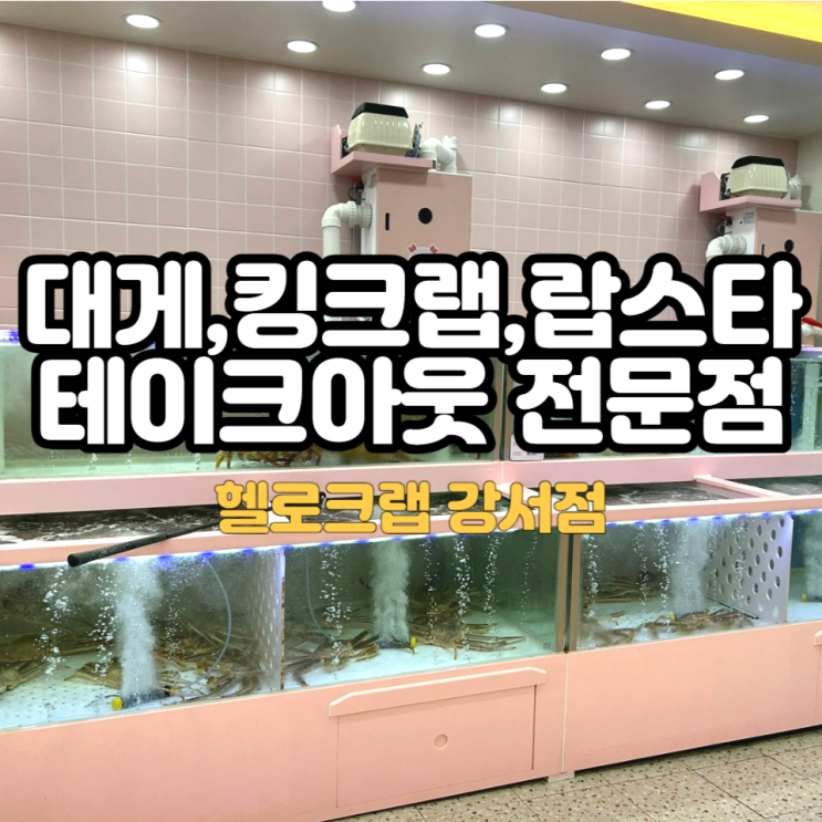  집에서 대게 킹크랩 랍스터가 먹고 싶을 땐 헬로크랩
