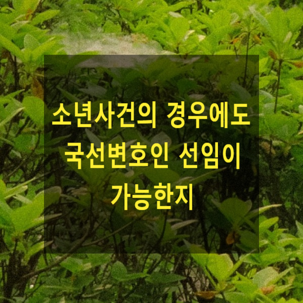  소년사건의 경우에도 국선변호인 선임이 가능한지