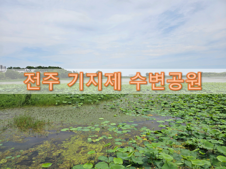 전주 기지제 수변공원