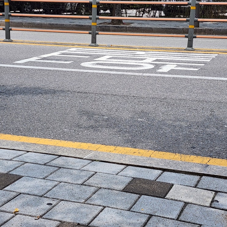  성공한 하루