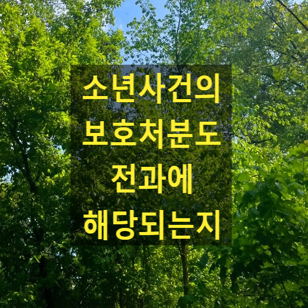  소년사건의 보호처분도 전과에 해당되는지