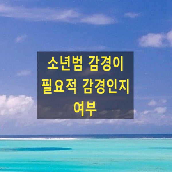  소년범 감경이 필요적 감경인지 여부