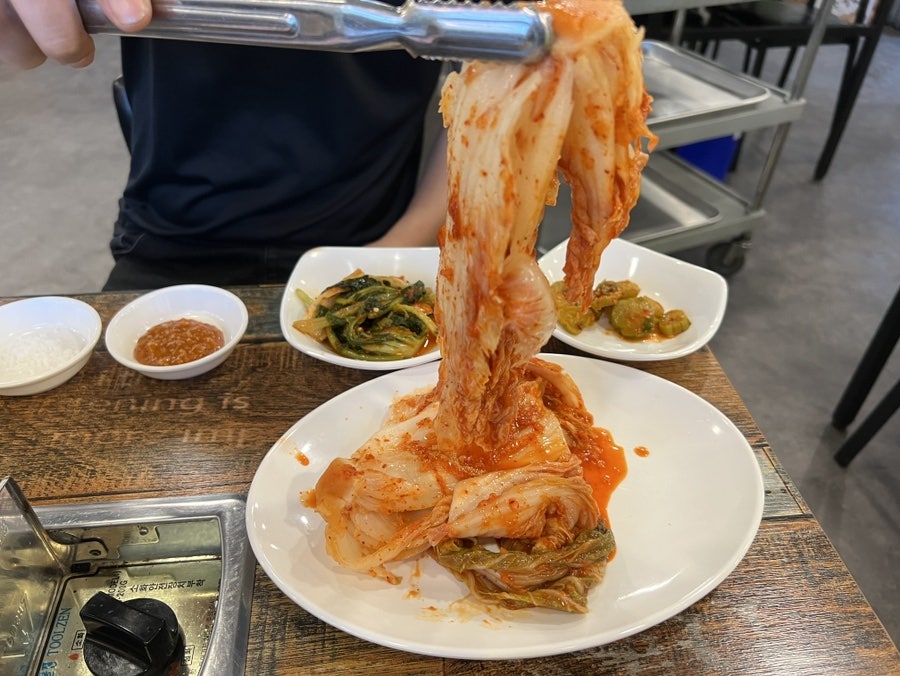 양이분 사진 4
