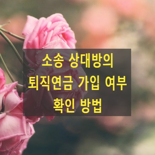  소송 상대방의 퇴직연금 가입 여부 확인 방법(국민연금공단 노후준비원실, 금융감독원 통합연금포털, 관할세무서)