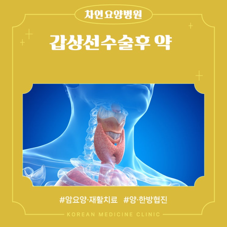  갑상선수술후 약 면역력관리 필요