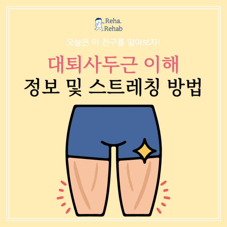  대퇴사두근 (Quadriceps Femoris Muscle)의 이해