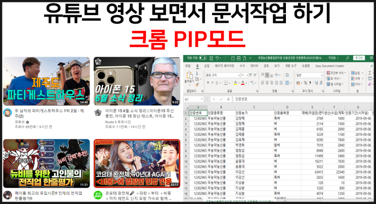  크롬 브라우저 유튜브 영상 PIP 모드로 보기 듀얼 모니터 X
