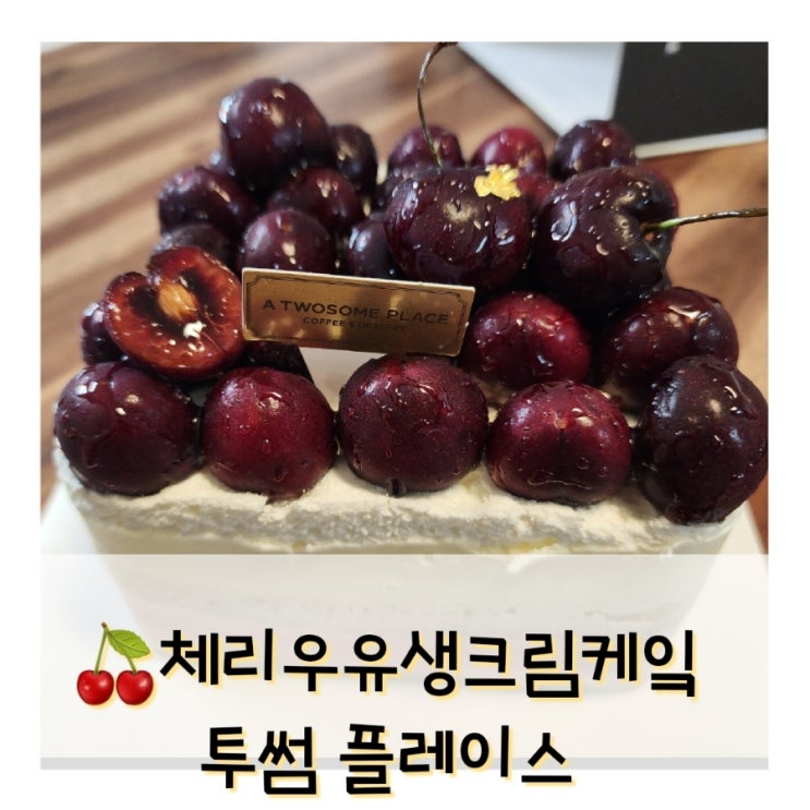 투썸 체리우유생크림케이크 구입후 당일 섭취권장 (냉동케이크)