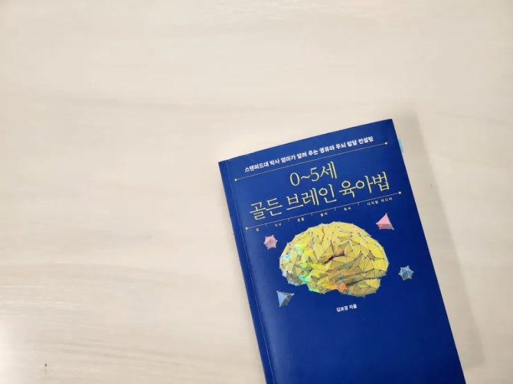  0~5세 골든 브레인 육아법 ㅡ김보경