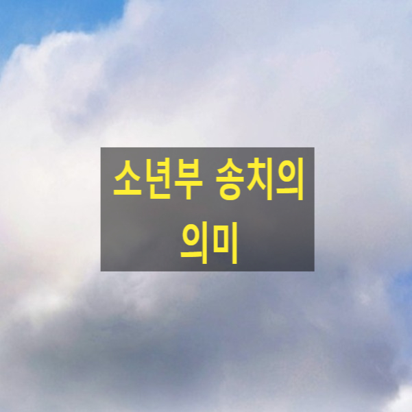  소년범 소년부 송치의 의미