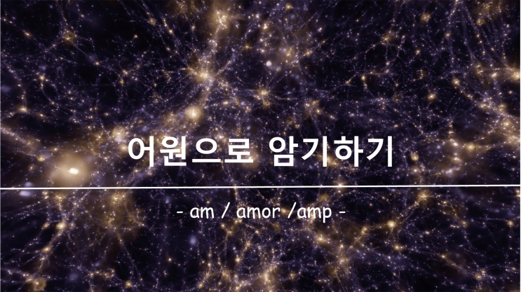  [영어 단어 암기] 접두사 / 접미사 am, amor, amp 의 의미
