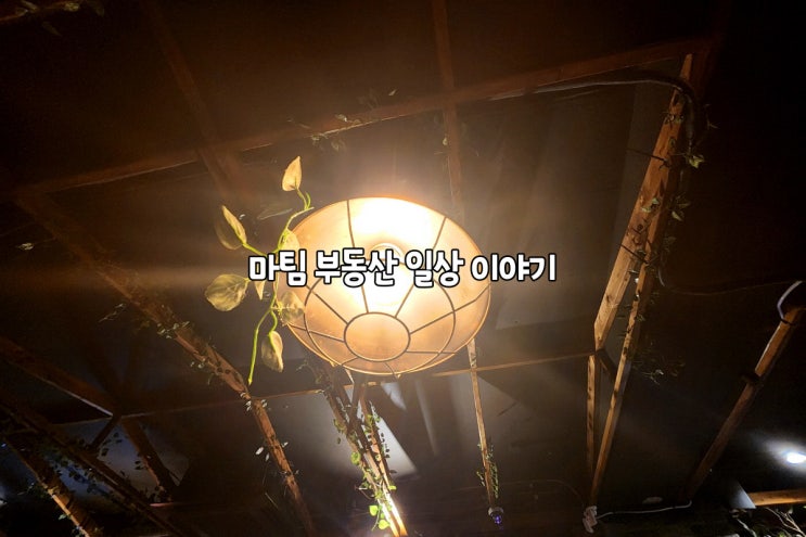  부엉이산장 강남점
