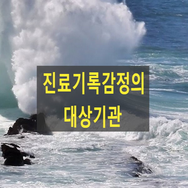  진료기록감정의 대상기관(요양병원)