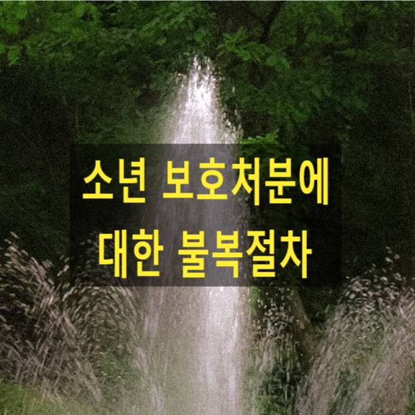  소년 보호처분에 대한 불복절차
