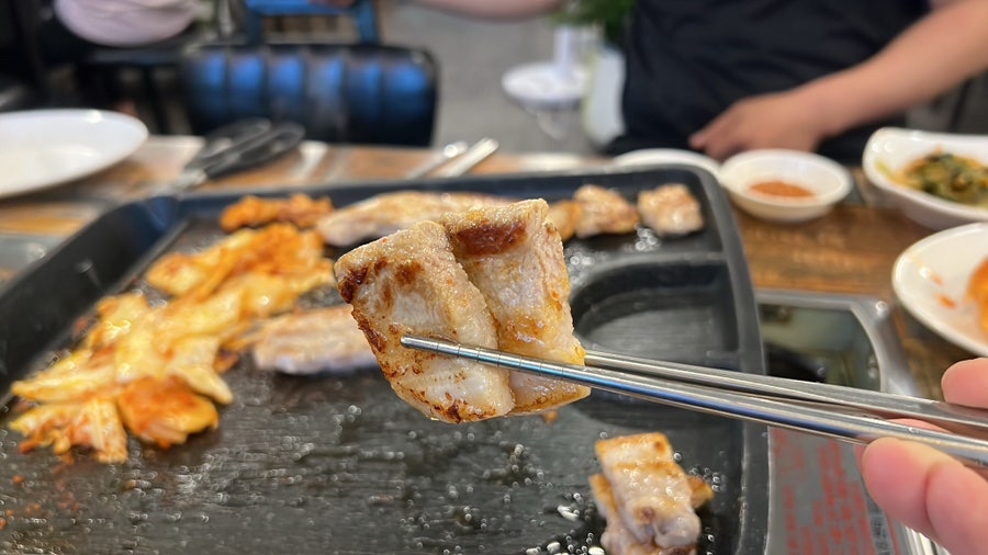 양이분 사진 6