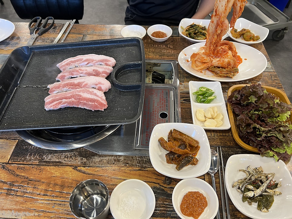양이분 사진 3
