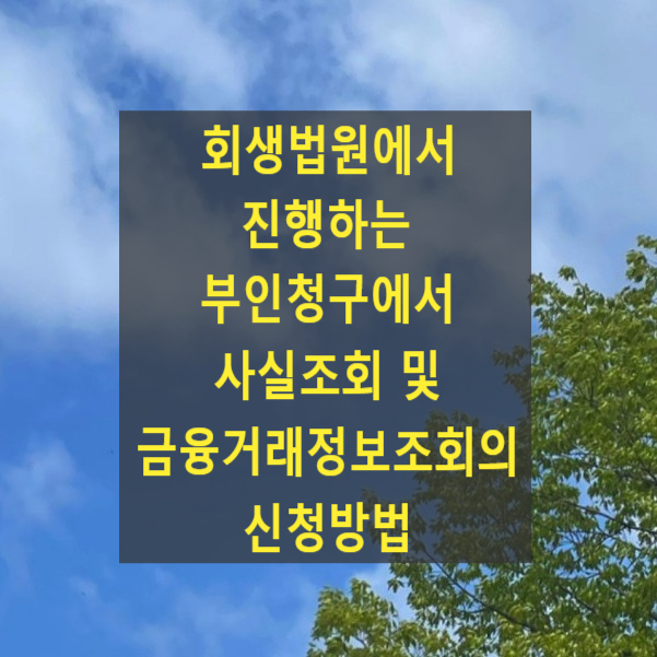  회생법원에서 진행하는 부인청구에서 사실조회 및 금융거래정보조회의 신청방법