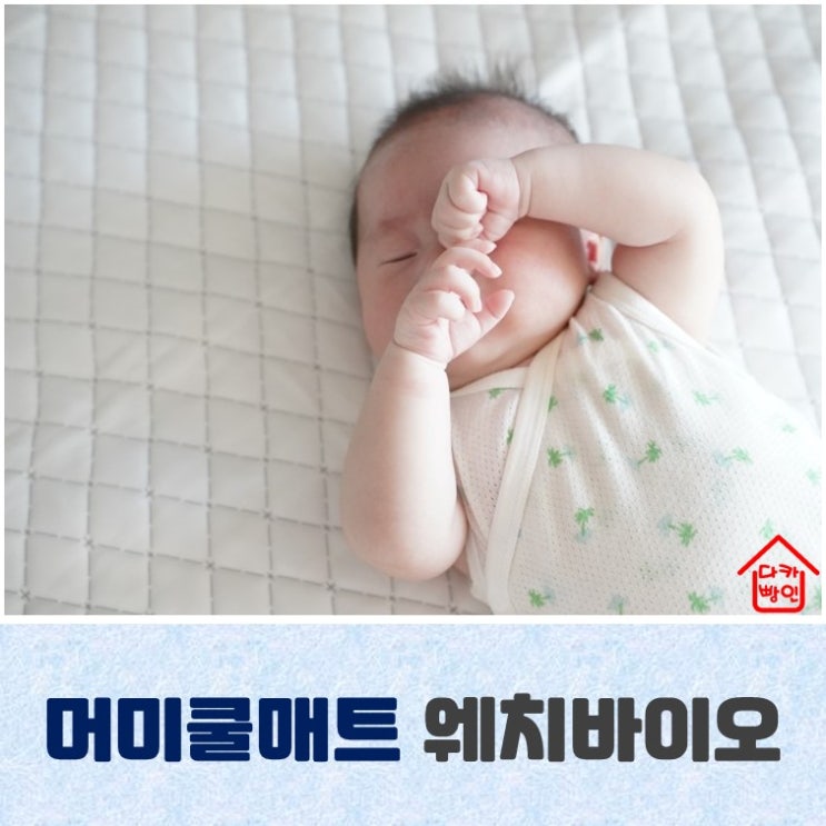  머미쿨매트 웨치바이오 냉감패드로 시원하게
