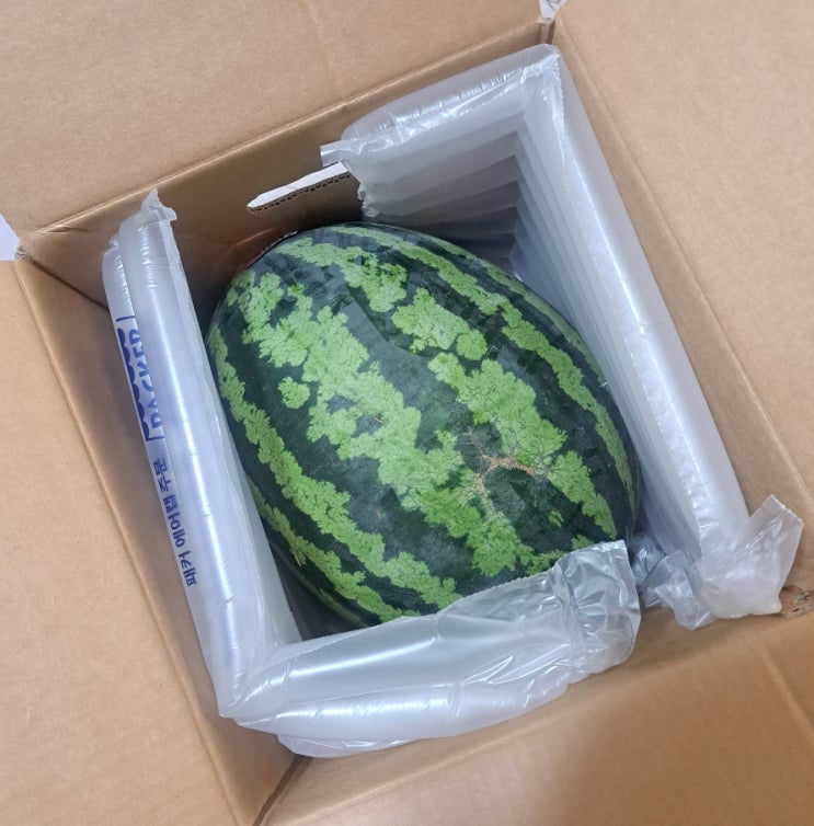 음성장터 맛있는 꿀수박 음성 다올찬 수박 음성장터 맛있는 꿀수박 음성 다올찬 수박