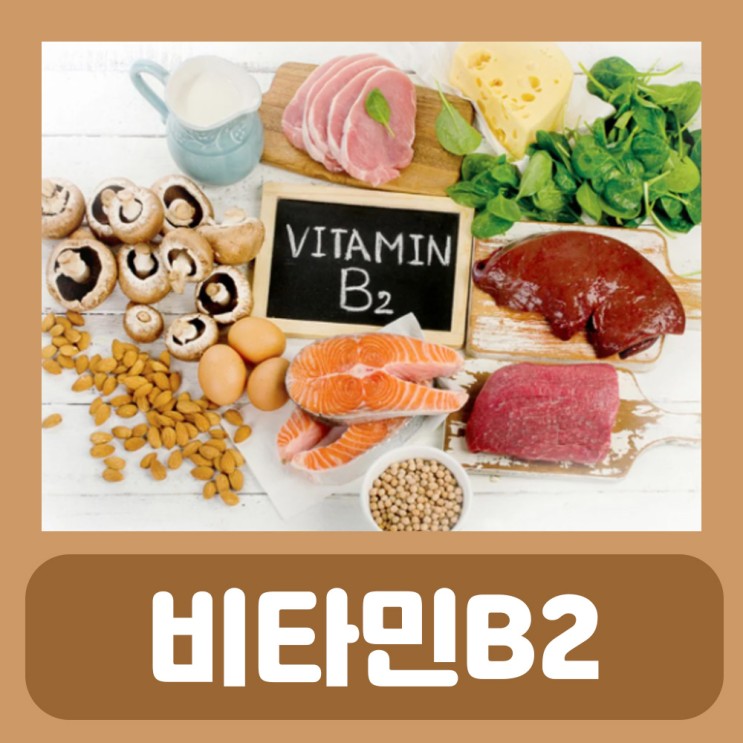 비타민B2 효능 리보플라빈 음식