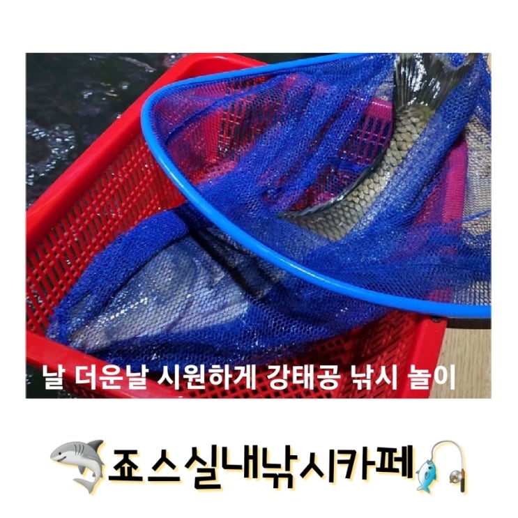  죠스실내낚시카페 아이와 가볼만한 곳 용인낚시카페