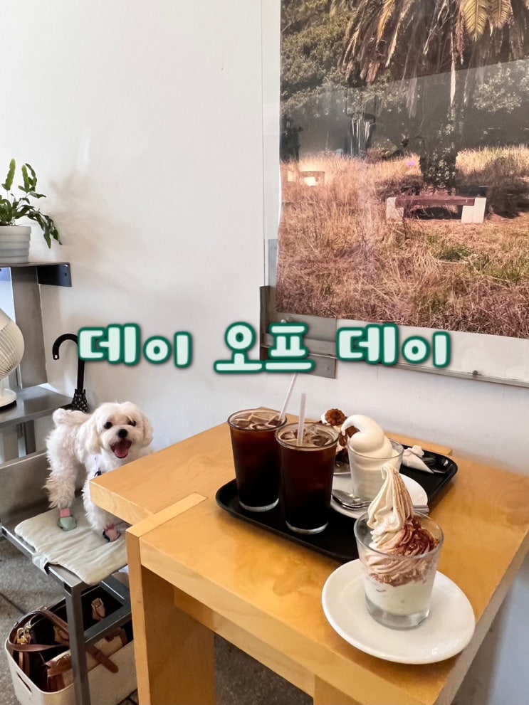  전포동 카페 / 데이오프데이 / 애견동반 가능 / 크로플 아이스크림 맛집