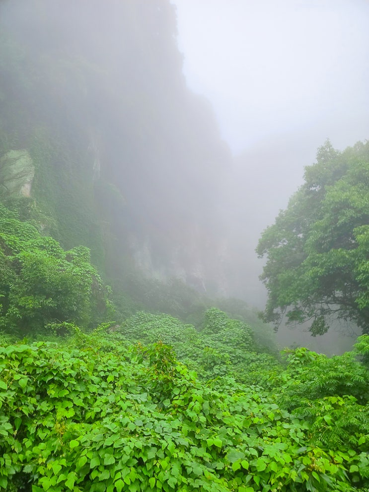  제주도 여행 제주 서귀포 비오는 날 가볼만한곳 엉또폭포