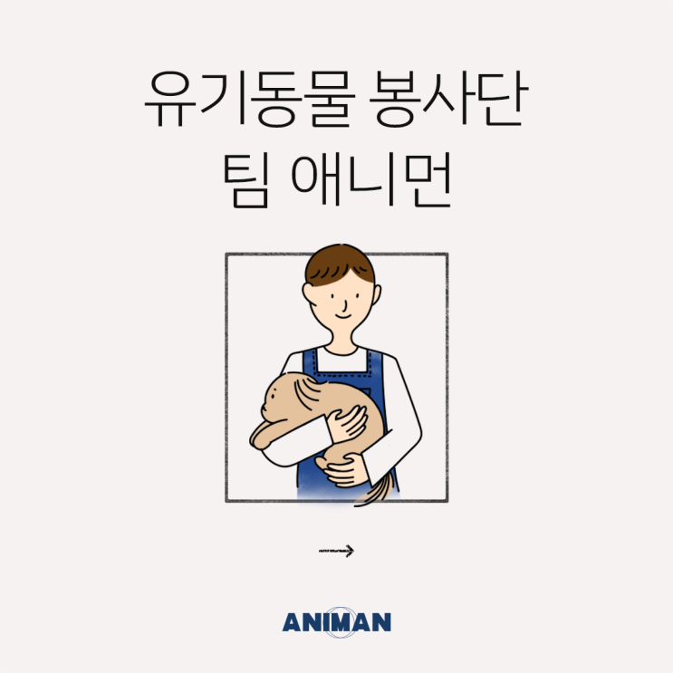 [애니먼] 유기동물 봉사 단체 팀 애니먼