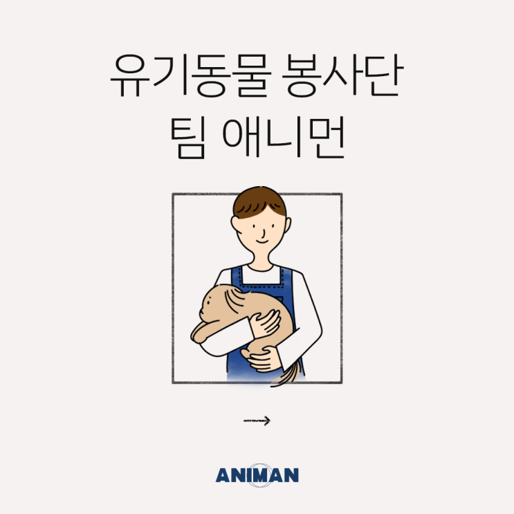  [애니먼] 유기동물 봉사 단체 팀 애니먼
