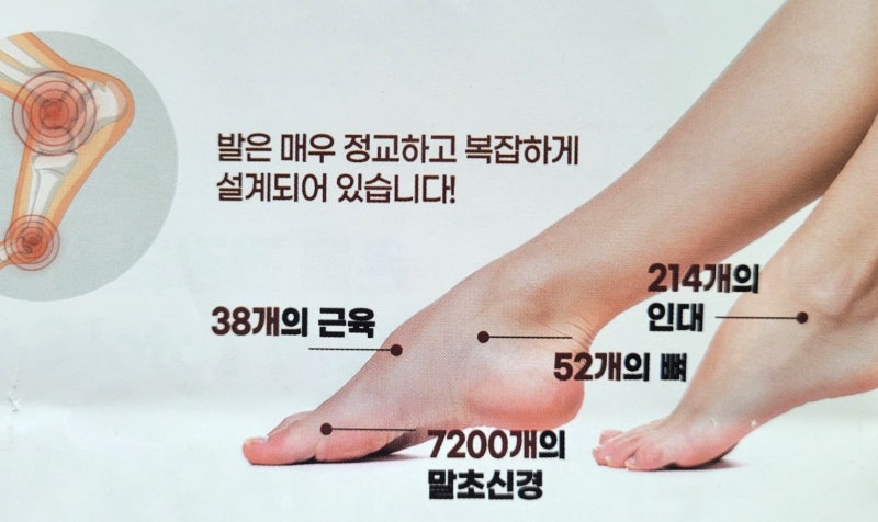 가정용 똑똑한 발 관리사 발맛사지기계