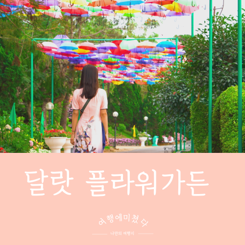  달랏정원 베트남 달랏 시내여행지추천 달랏꽃밭 플라워가든