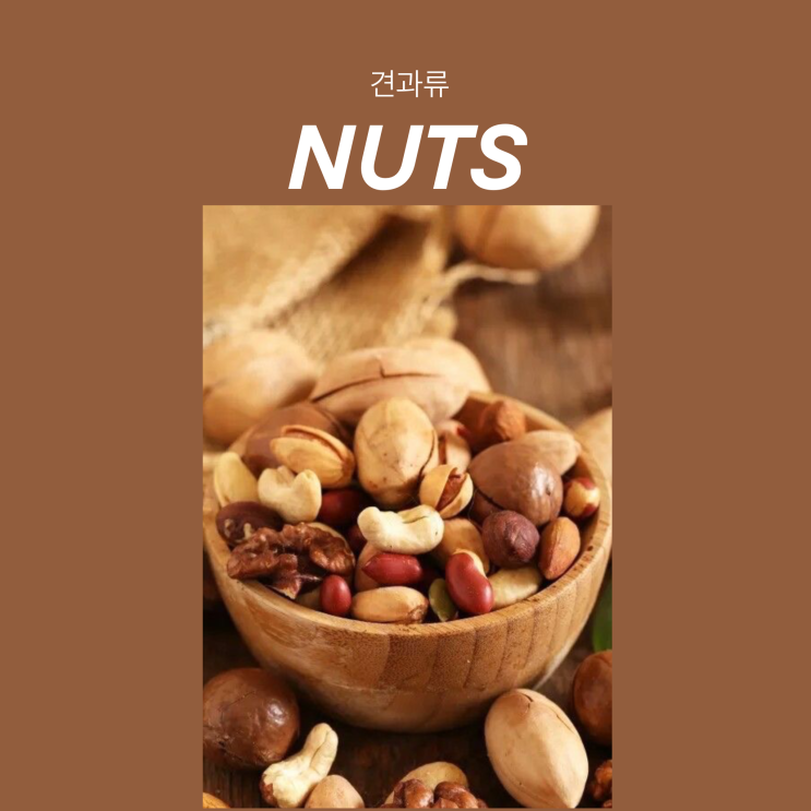  견과류 종류와 영양소 알아보고 건강하게 챙겨먹기