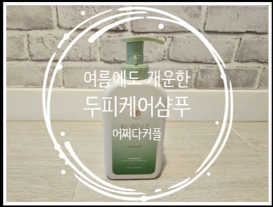 닥터버들탈모완화 두피케어 샴푸 솔직 사용후기