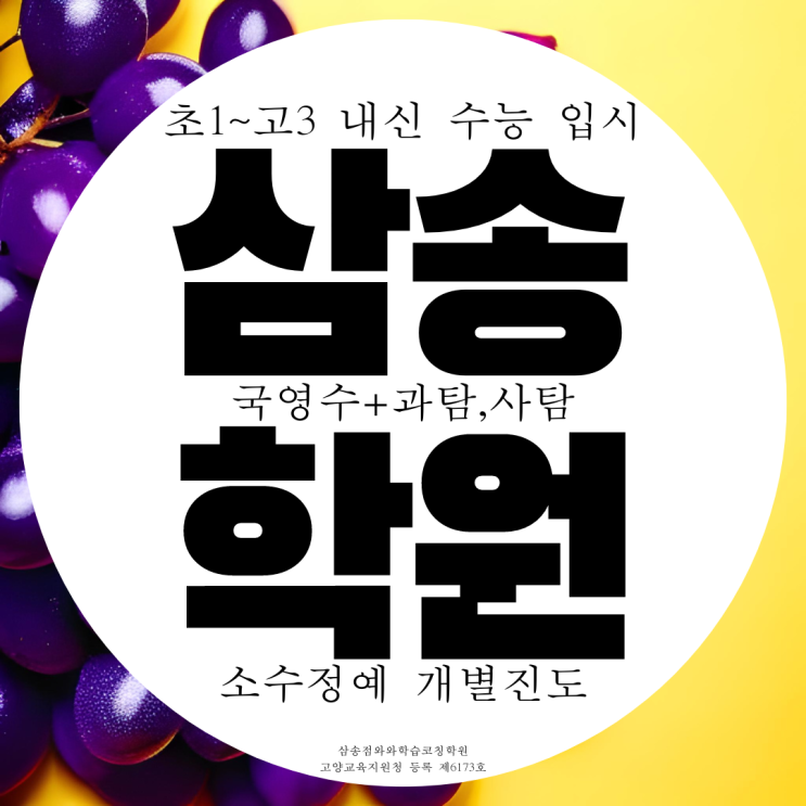 고양시 삼송 와와학습코칭센터 삼송점 고양 종합 전과목 사탐 과탐 학원 고양시 삼송 와와학습코칭센터 삼송점 고양 종합 전과목 사탐 과탐 학원